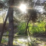 Luz De * Almoradi