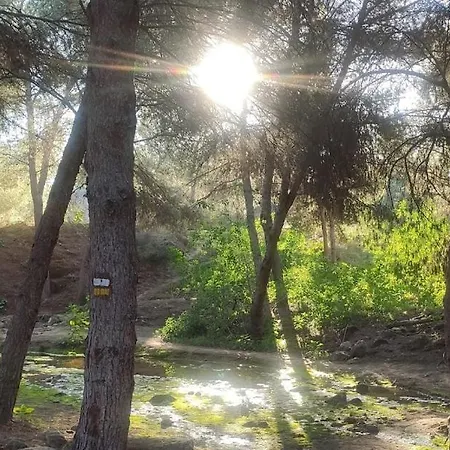 Luz De * Almoradi