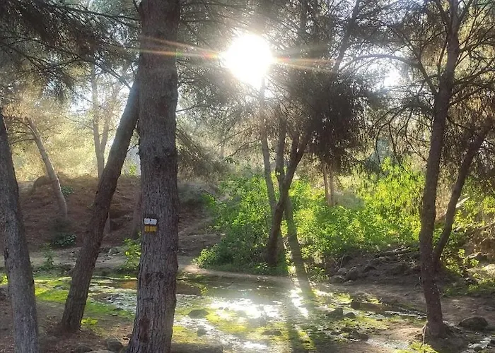 Luz De * Almoradí
